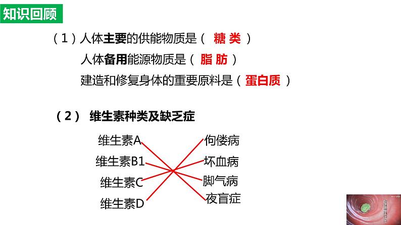 4.2.2消化和吸收（课件）2023--2024学年人教版生物七年级下册第1页