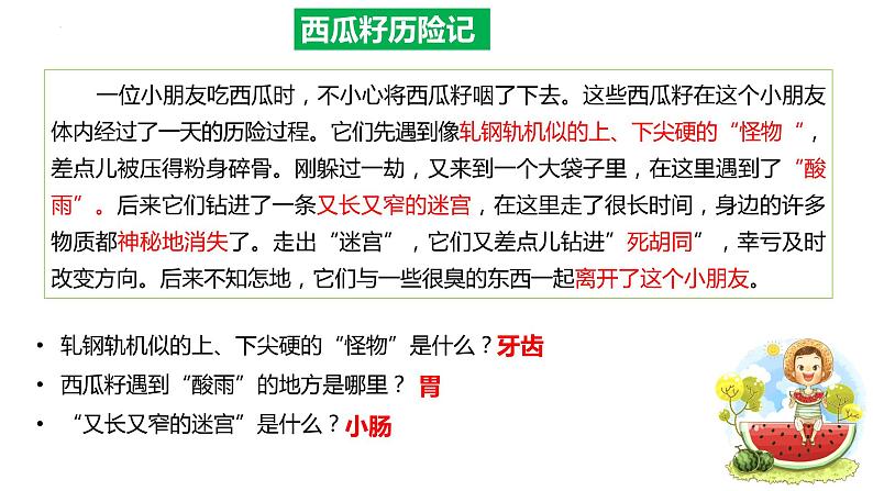 4.2.2消化和吸收（课件）2023--2024学年人教版生物七年级下册第2页