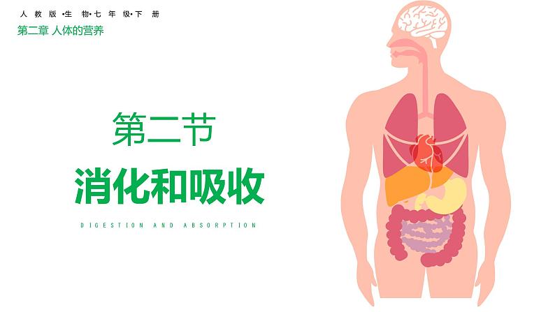 4.2.2消化和吸收（课件）2023--2024学年人教版生物七年级下册第3页