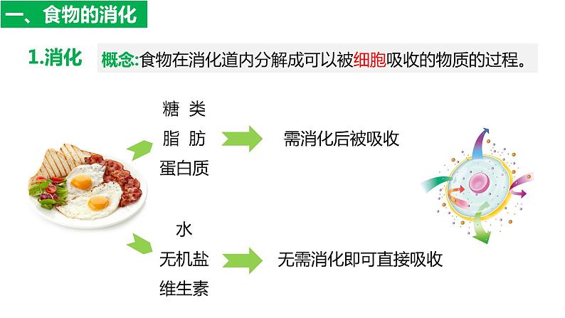 4.2.2消化和吸收（课件）2023--2024学年人教版生物七年级下册第5页