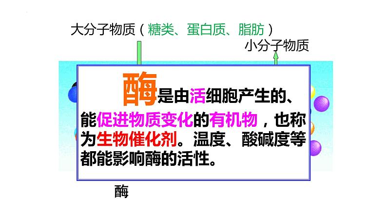 4.2.2消化和吸收（课件）2023--2024学年人教版生物七年级下册第8页