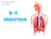 4.3.1呼吸道对空气的处理课件（课件）2023--2024学年人教版生物七年级下册
