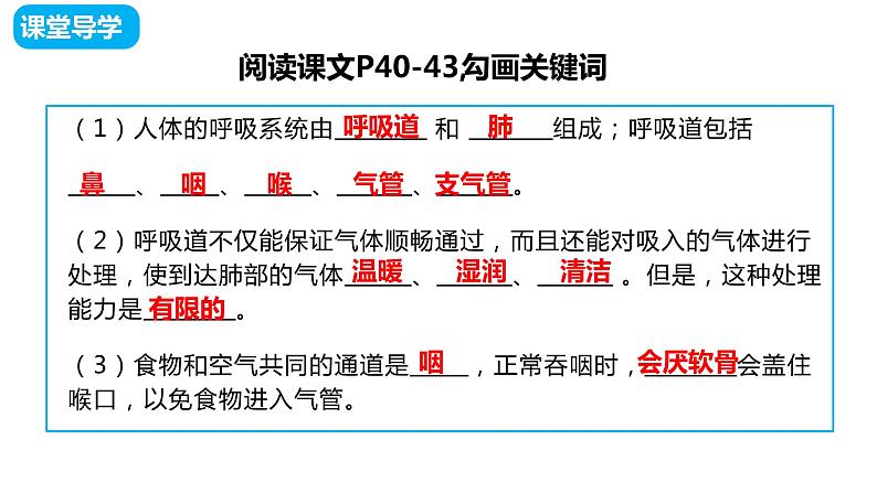 4.3.1呼吸道对空气的处理课件（课件）2023--2024学年人教版生物七年级下册第3页