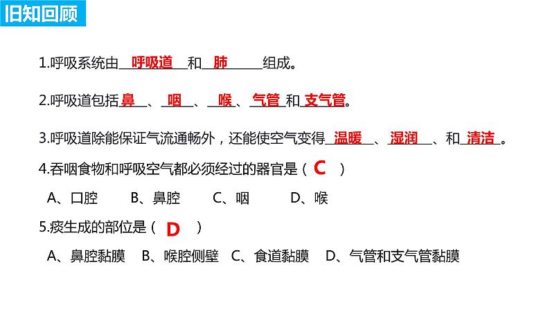 4.3.2 发生在肺内的气体交换（第一课时）（课件）2023--2024学年人教版生物七年级下册第1页