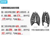 4.3.2发生在肺内的气体交换（第二课时）（课件）2023--2024学年人教版生物七年级下册