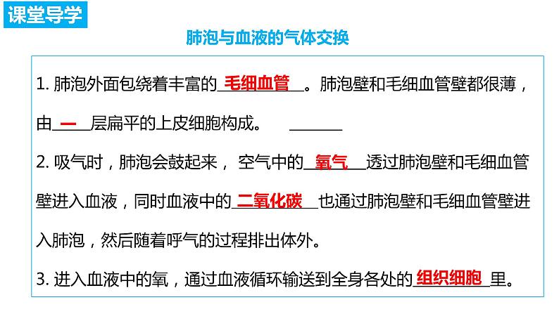 4.3.2发生在肺内的气体交换（第二课时）（课件）2023--2024学年人教版生物七年级下册04