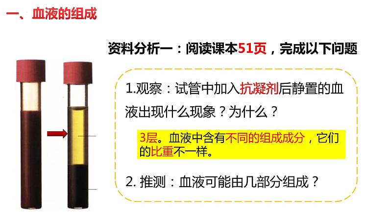 4.4.1 流动的组织-血液（课件）2023--2024学年人教版生物七年级下册05