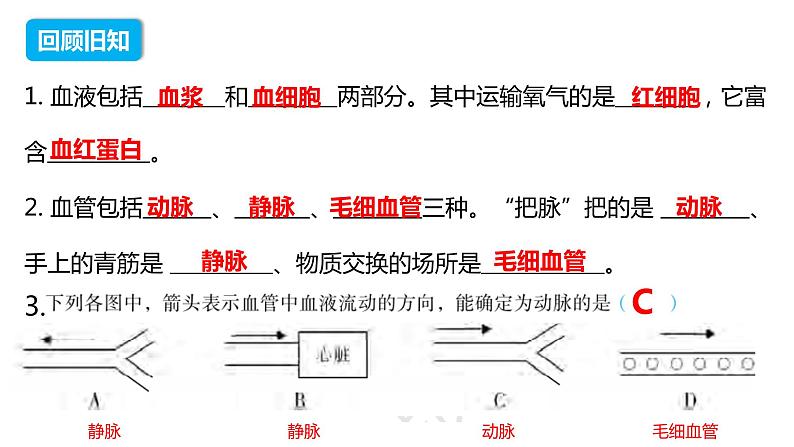 4.4.3 输送血液的泵——心脏（第一课时）（课件）2023--2024学年人教版生物七年级下册01