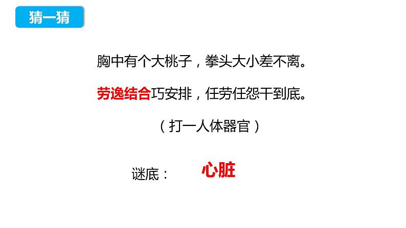 4.4.3 输送血液的泵——心脏（第一课时）（课件）2023--2024学年人教版生物七年级下册02