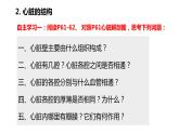 4.4.3 输送血液的泵——心脏（第一课时）（课件）2023--2024学年人教版生物七年级下册