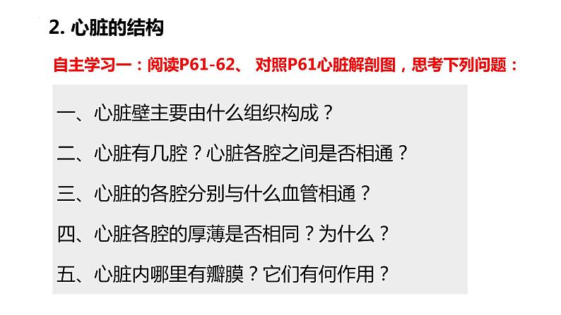 4.4.3 输送血液的泵——心脏（第一课时）（课件）2023--2024学年人教版生物七年级下册05