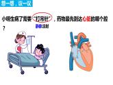 4.4.3 输送血液的泵——心脏（第二课时）（课件）2023--2024学年人教版生物七年级下册