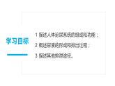 4.5人体内废物的排出（课件）2023--2024学年人教版生物七年级下册
