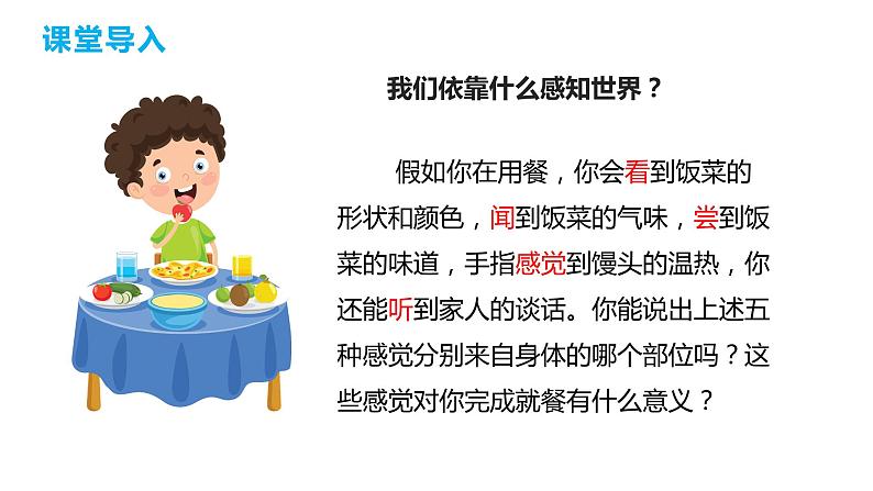 4.6.1 人体对外界环境的感知（第一课时）（课件）2023--2024学年人教版生物七年级下册第3页