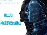 4.6.2 神经系统的组成（课件）2023--2024学年人教版生物七年级下册