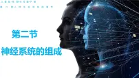 初中生物人教版 (新课标)七年级下册第二节 神经系统的组成教学ppt课件
