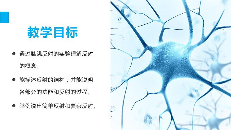 4.6.3 神经调节的基本方式（课件）2023--2024学年人教版生物七年级下册第2页