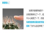 4.6.3 神经调节的基本方式（课件）2023--2024学年人教版生物七年级下册