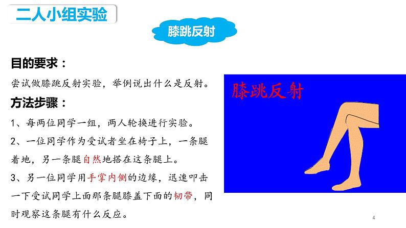 4.6.3 神经调节的基本方式（课件）2023--2024学年人教版生物七年级下册第4页
