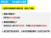 4.6.4 激素调节（课件）2023--2024学年人教版生物七年级下册