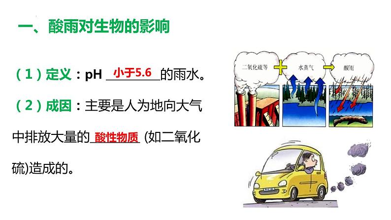 4.7.2 探究环境污染对生物的影响课件（课件）2023--2024学年人教版生物七年级下册04