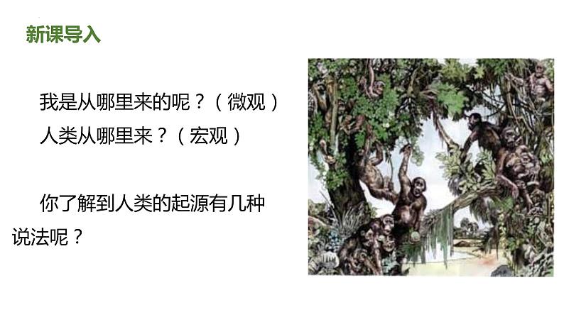 4.1.1人类的起源和发展（课件）2023--2024学年人教版生物七年级下册第2页