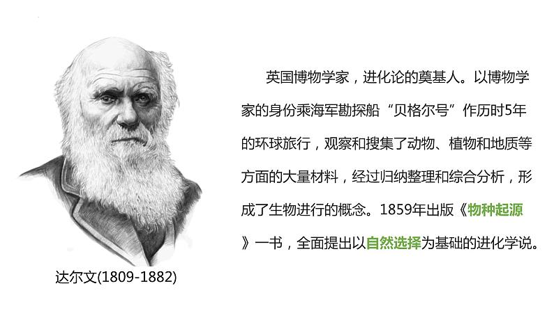 4.1.1人类的起源和发展（课件）2023--2024学年人教版生物七年级下册第4页