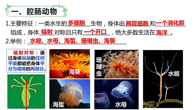 22.4 动物的主要类群（第1课时）（课件）2023--2024学年北师大版生物八年级下册第6页