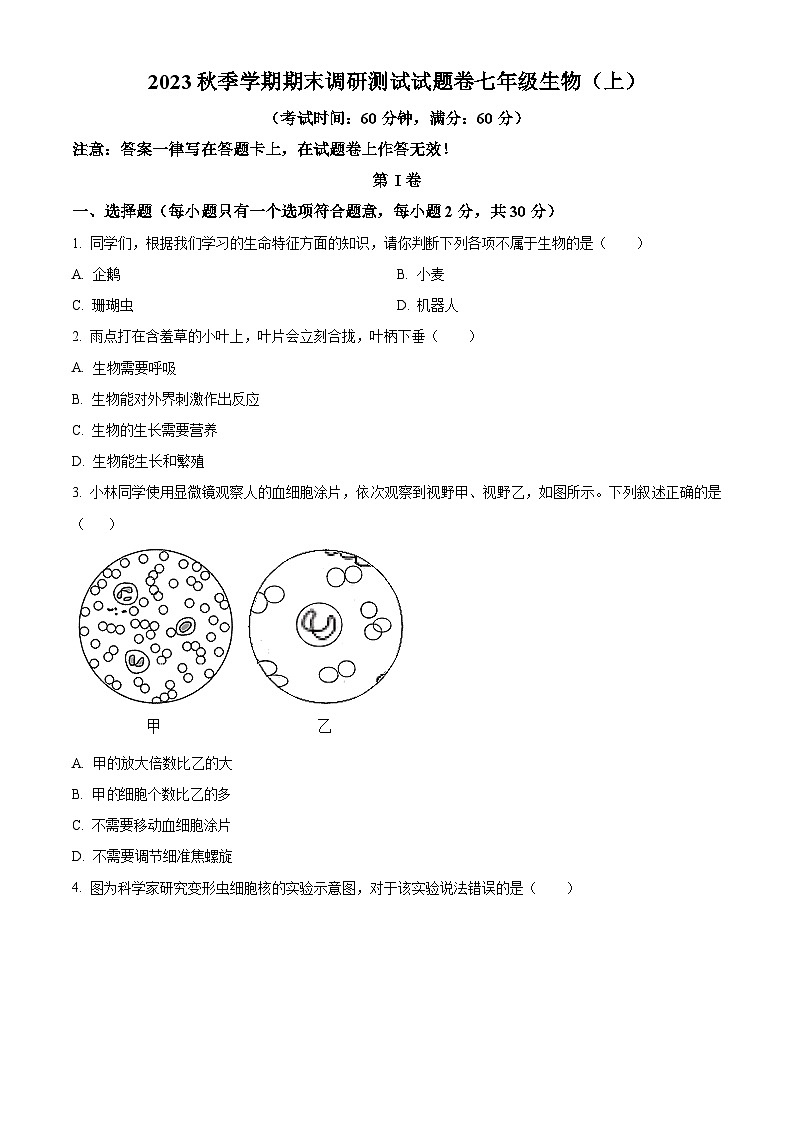 精品解析：广西河池环江县2023-2024学年七年级上学期期末考试生物试题（原卷版）第1页