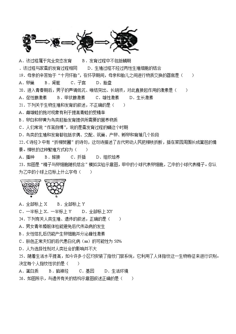 15，广东省惠州市江南学校2023-2024学年八年级上学期期末教学质量检测生物试题()03