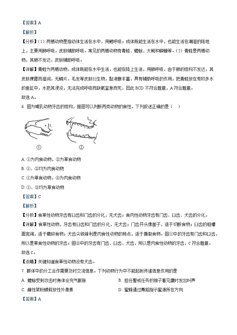 21，湖南省浏阳市2023-2024学年八年级上学期期中考试生物试题03