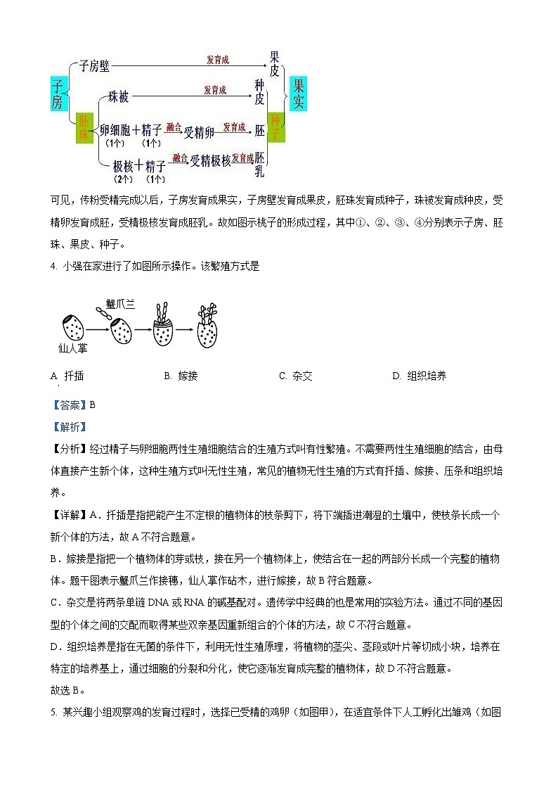 33，江苏省徐州市丰县七校2023-2024学年八年级上学期12月月考生物试题第3页
