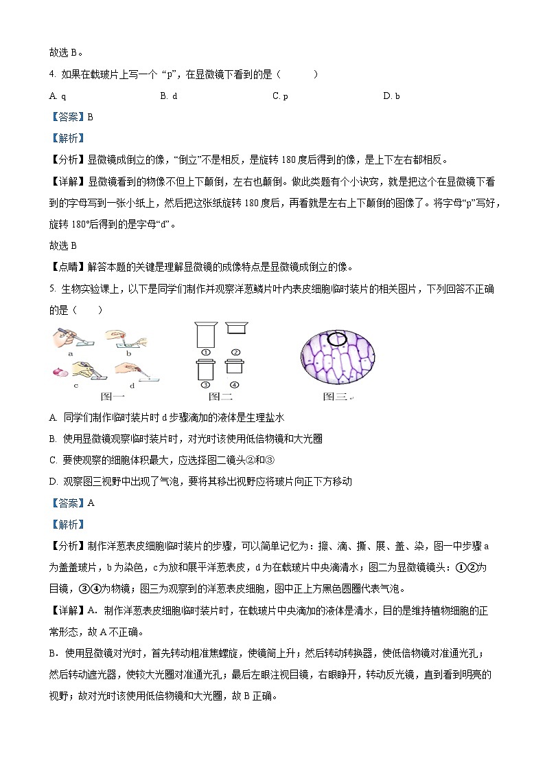 39，四川省广安市友谊中学2023--2024学年七年级上学期生物期末试题03