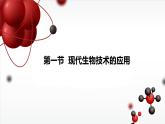 蘇教版生物八年級(jí)下冊(cè).第二十四章 1.第一節(jié) 現(xiàn)代生物技術(shù)的應(yīng)用 PPT課件