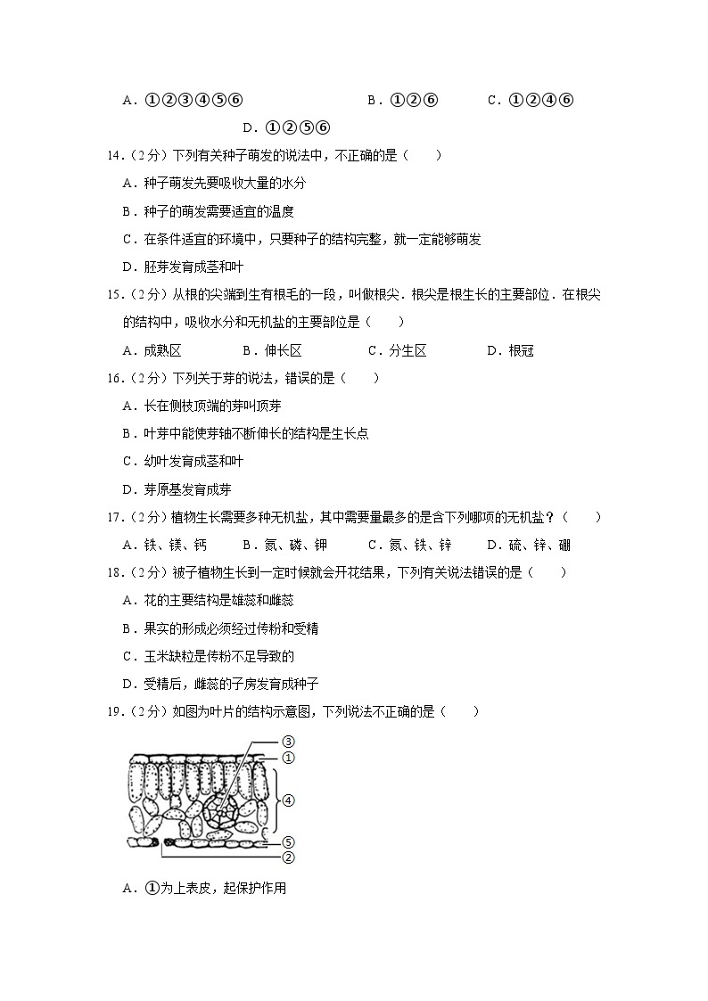 安徽省铜陵市铜官区2023-2024学年七年级上学期期末生物试卷03