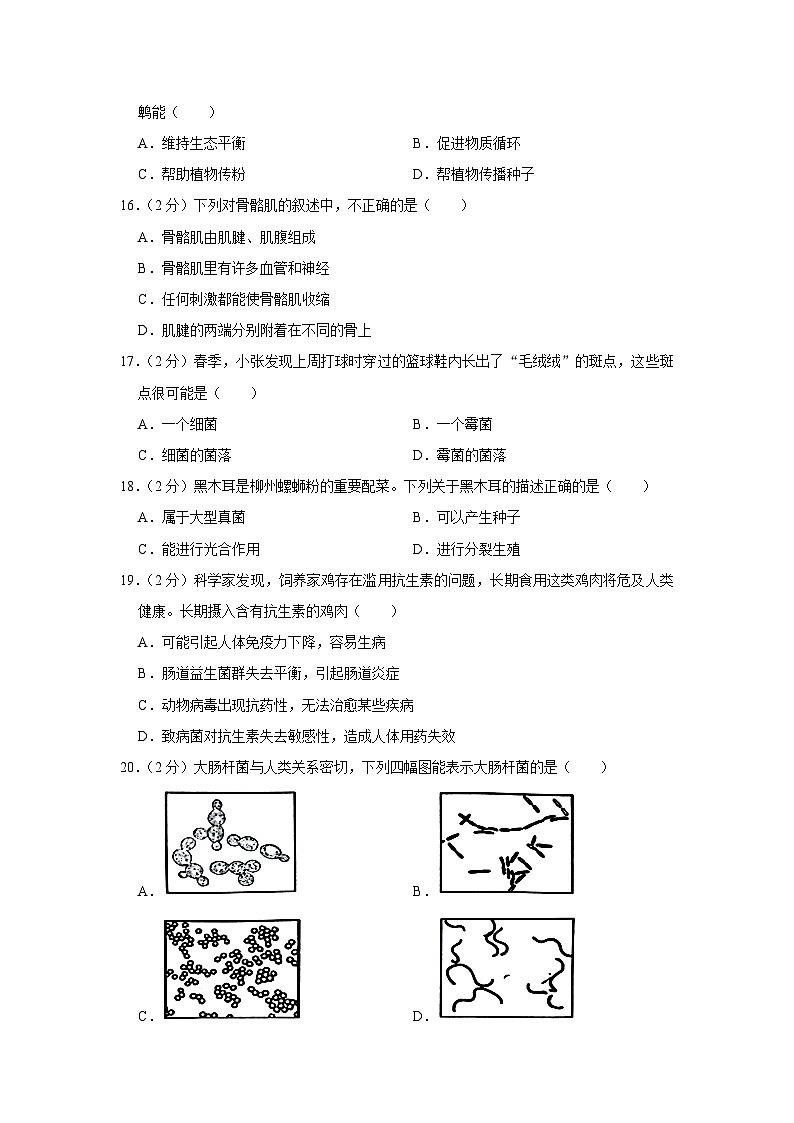 广西柳州市2023-2024学年八年级上学期期末生物试卷第3页