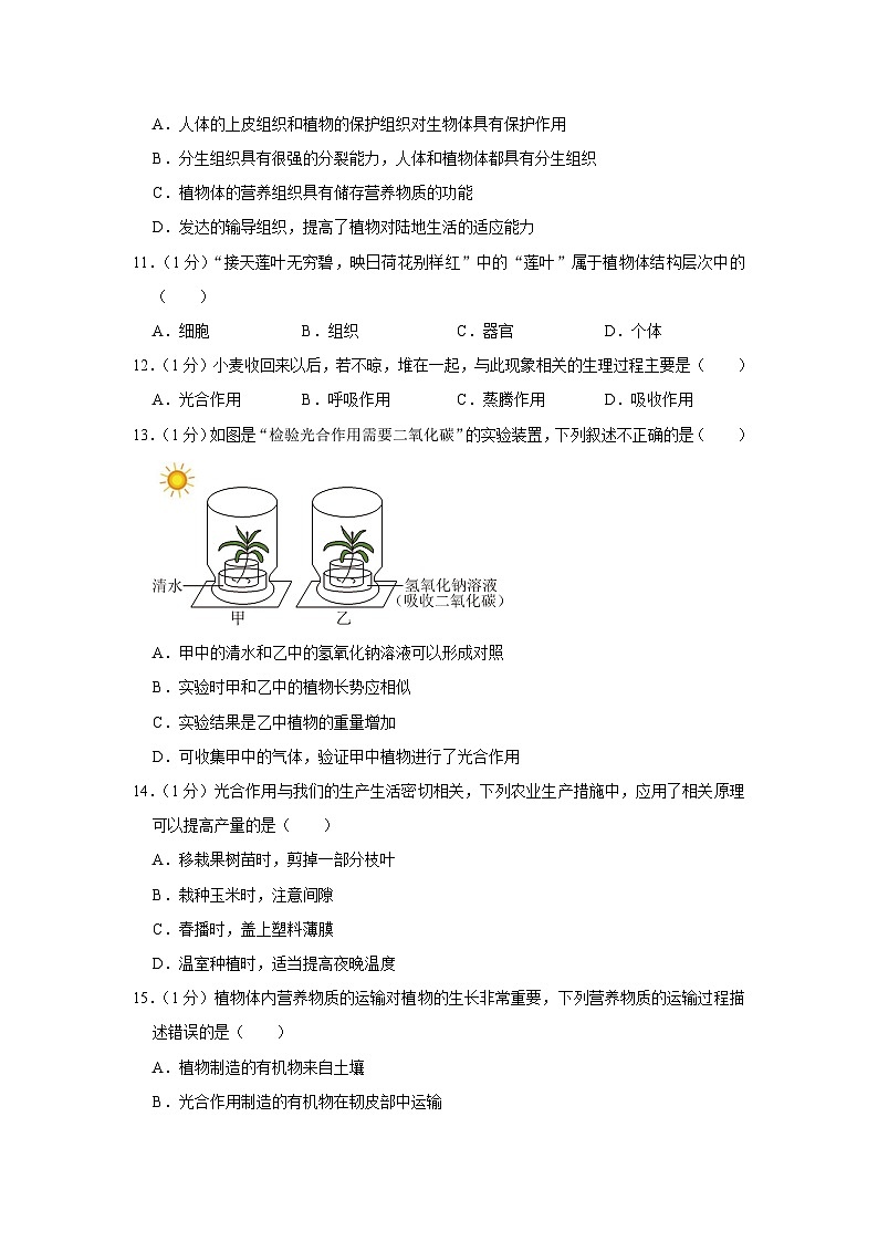 河南省安阳市滑县2023-2024学年七年级上学期期末生物试卷03