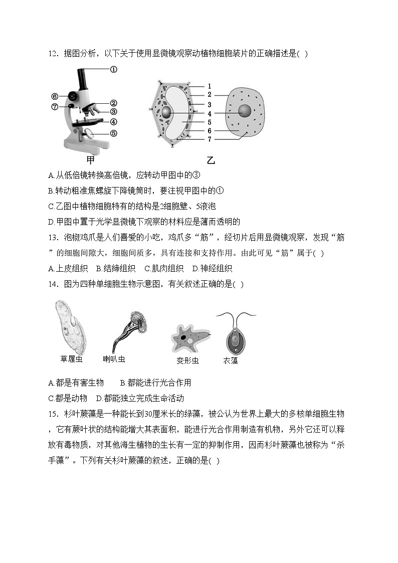 广西贺州市八步区2023-2024学年七年级上学期期末考试生物试卷(含答案)第3页