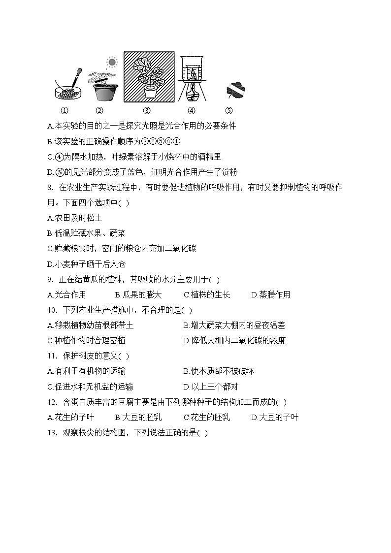 河南省驻马店市确山县2023-2024学年七年级上学期期末考试生物试卷(含答案)第2页