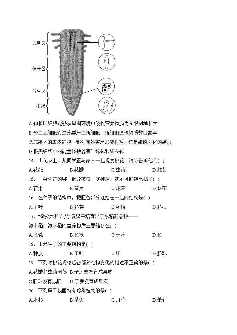 河南省驻马店市确山县2023-2024学年七年级上学期期末考试生物试卷(含答案)第3页