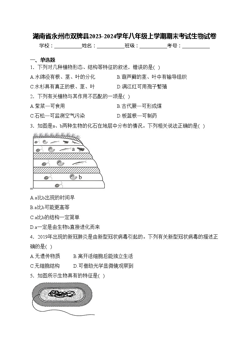 湖南省永州市双牌县2023-2024学年八年级上学期期末考试生物试卷(含答案)01