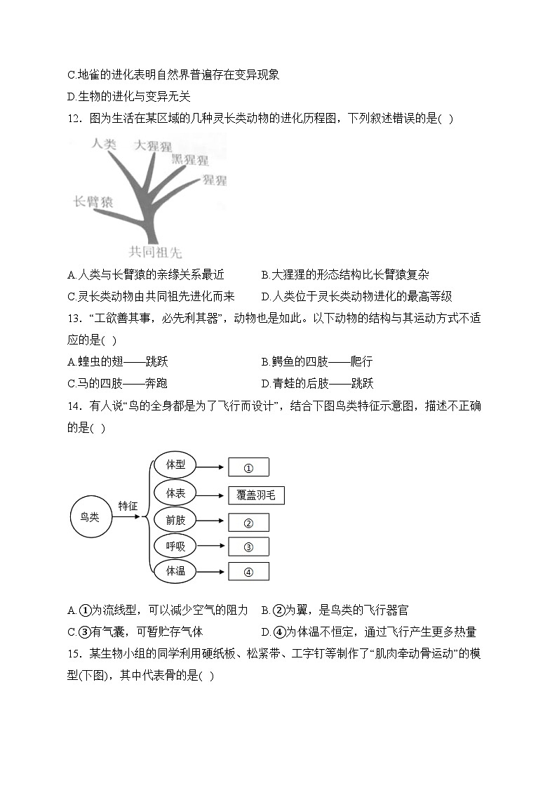 湖南省永州市新田县2023-2024学年八年级上学期期末学业质量监测生物试卷(含答案)第3页