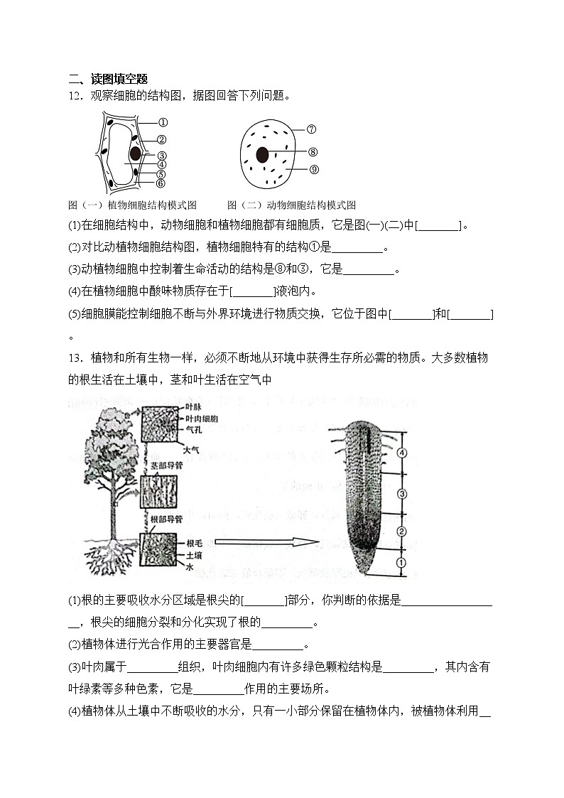 辽宁省抚顺市抚顺县2023-2024学年七年级上学期期末考试生物试卷(含答案)第3页