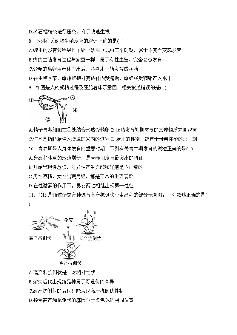 山东省枣庄市薛城区2023-2024学年八年级上学期期末素养监测生物试卷(含答案)03