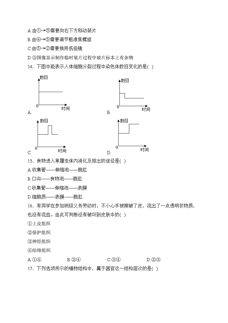 江苏省盐城市滨海县2023-2024学年七年级上学期期中考试生物试卷(含答案)第3页