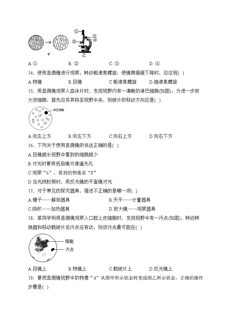 江苏省盐城市滨海县滨淮初中联考2023-2024学年七年级上学期10月月考生物试卷(含答案)第3页