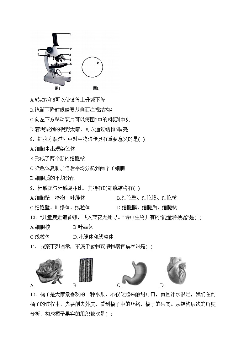 2023-2024学年七年级上学期生物苏教版期末模拟测试卷A卷(含答案)02