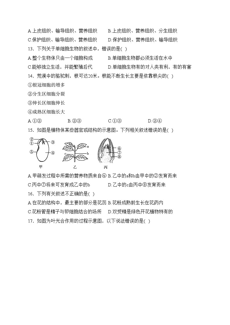 2023-2024学年七年级上学期生物苏教版期末模拟测试卷A卷(含答案)03
