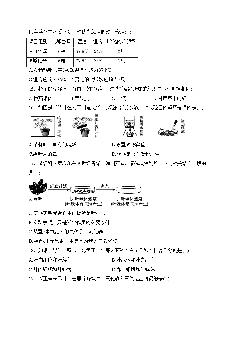 福建省泉州市丰泽区多校联考2023-2024学年七年级上学期12月月考生物试卷(含答案)03