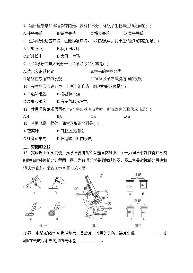 抚顺市实验中学2023-2024学年七年级上学期10月月考生物试卷(含答案)02